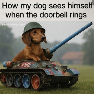 1000005973.jpg