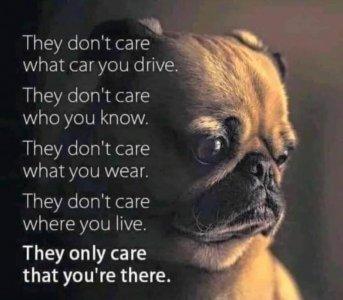 FB_IMG_1682663117213.jpg