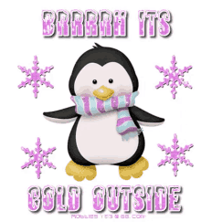 IMG_0744.gif