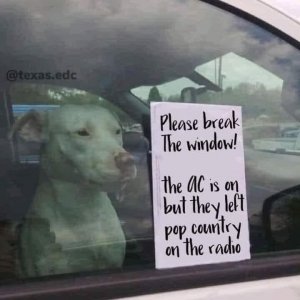 IMG_2101.jpeg