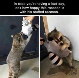 FB_IMG_1629347403801.jpg