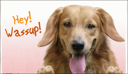 HEY WASSUP DOG.GIF