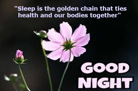 night 07 18 25.jpg