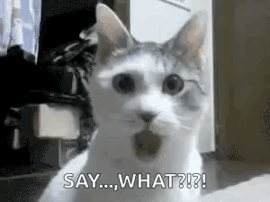 dede.gif
