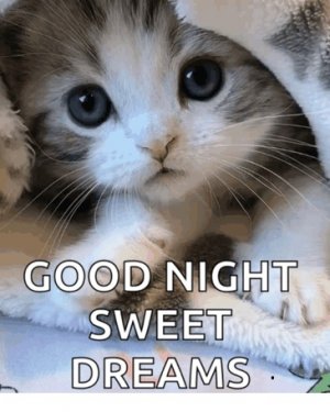 Sweet Dreams Kitten.jpg