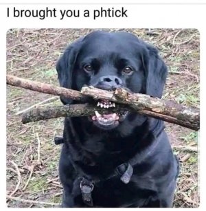 1752874054471.jpg