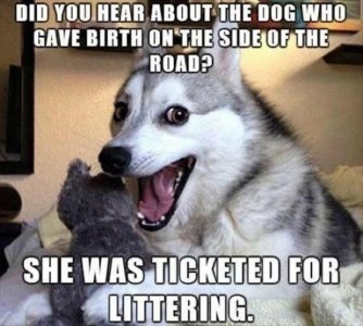 IMG_2139.jpeg