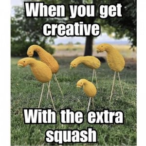 FB_IMG_1752945805332.jpg
