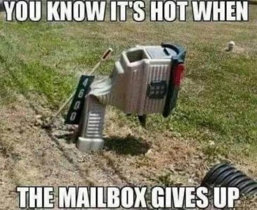 FB_IMG_1752945794873.jpg