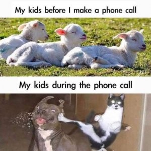 a kids animals joke.jpg