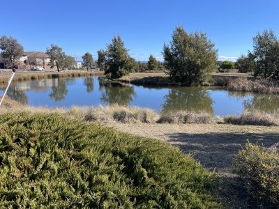 IMG_4584.jpeg