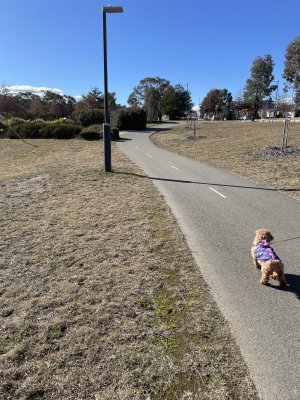 IMG_9848.jpeg