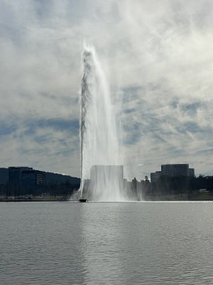 IMG_4553.jpeg