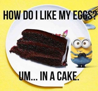IMG_0966.jpeg