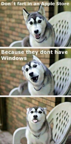 IMG_2157.jpeg