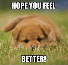 feel better.jpg
