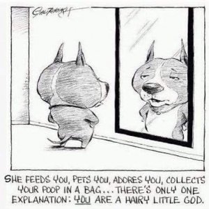 a dog joke god.jpg