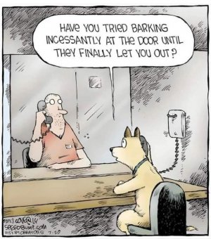 Dog's advice to Prisoner.jpg