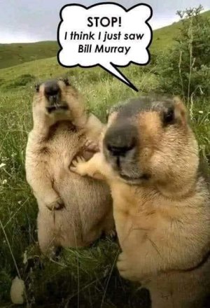 FB_IMG_1753055390209.jpg