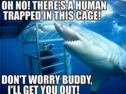 FB_IMG_1753055646959.jpg