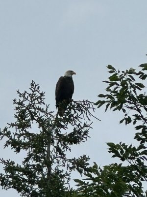 IMG_1394.jpeg
