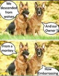 IMG_9768.jpeg
