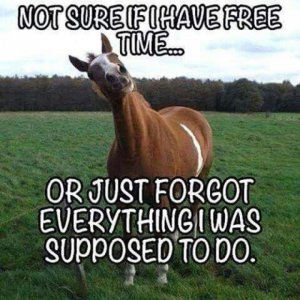 FB_IMG_1753060115137.jpg