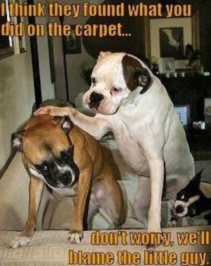 IMG_0970.jpeg