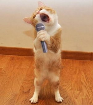 Karaoke @.jpg