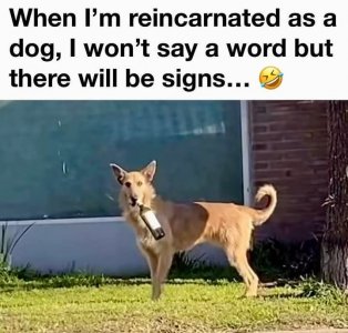 FB_IMG_1753133662274.jpg