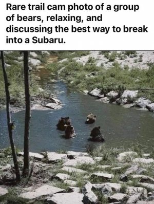 1000013155.jpg