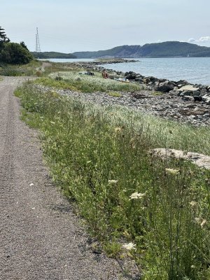 IMG_9811.jpeg