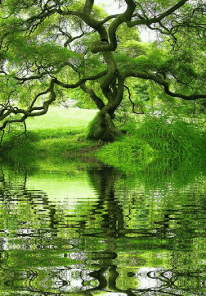 da697cb3fb9467c51849793efbb312f9.gif