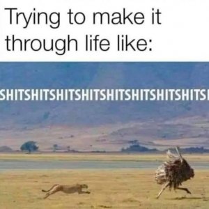 FB_IMG_1753236669782.jpg
