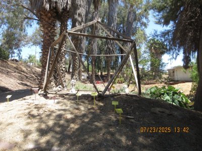 IMG_0446.JPG