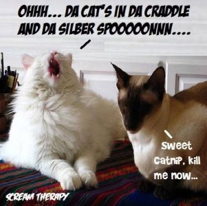 IMG_0618.jpeg