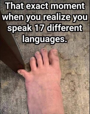 1000006036.jpg