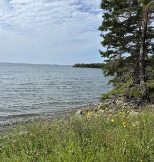 IMG_9825.jpeg