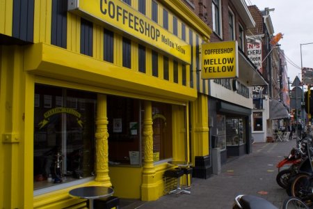 mello yellow.jpg