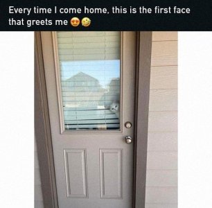 1000013212.jpg