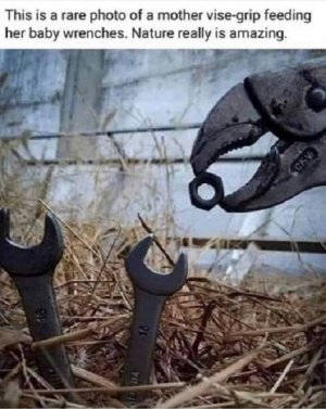 mother vice grip.jpg