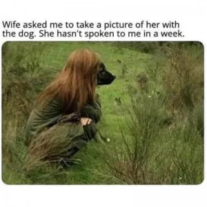 IMG_2214.jpeg