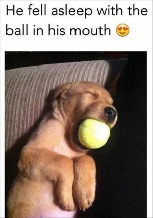 FB_IMG_1753503924385.jpg