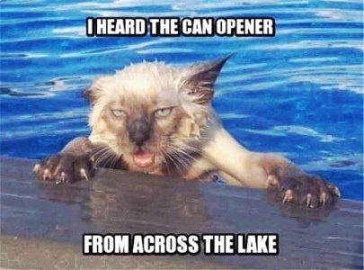 FB_IMG_1753322234981.jpg