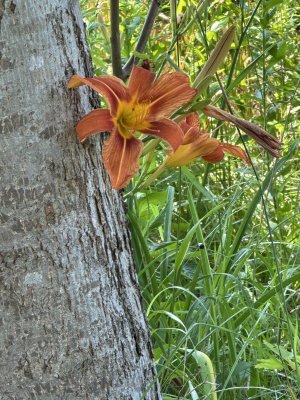 IMG_9847.jpeg