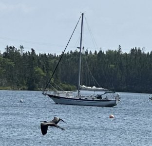 IMG_9845.jpeg