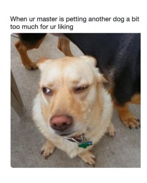 FB_IMG_1753497741560.jpg