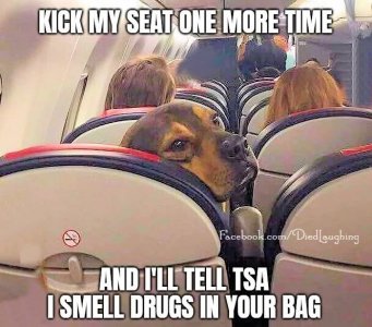 FB_IMG_1753408846665.jpg