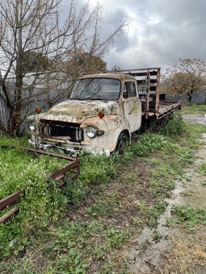 IMG_0005.jpeg