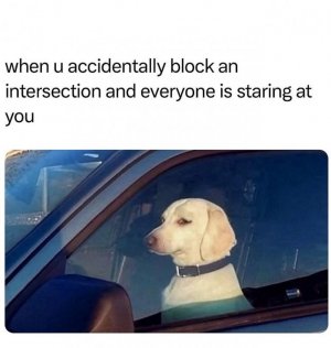 1000013230.jpg